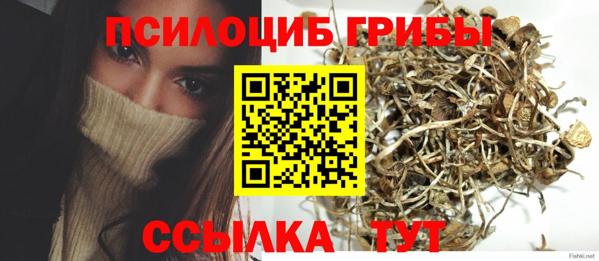 Людиново  Галлюциногенные грибы GOLDEN TEACHER  Псилоцибиновые грибы Psilocybine cubensis  цены наркотик  Вход с VPN 